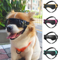 Dog UV Protection Goggles – Windproof Sunglasses for Outdoor & Car Rides